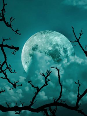 Halloween background. Spooky forest dead tree with full moon sky.